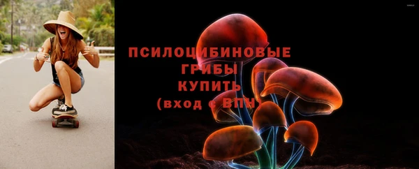 шишки Алзамай