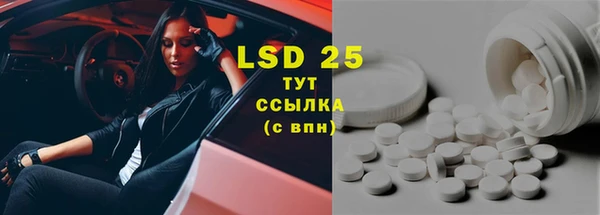 шишки Алзамай