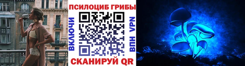 Псилоцибиновые грибы Cubensis  купить наркотики сайты  Новая Усмань 